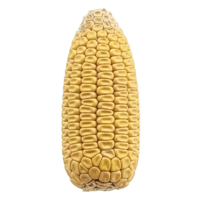 Imagen PNG para descargar